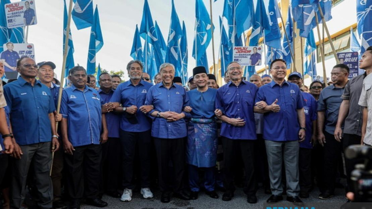 UMNO Heavyweights Rally Behind Onn Hafiz's Johor State Bid