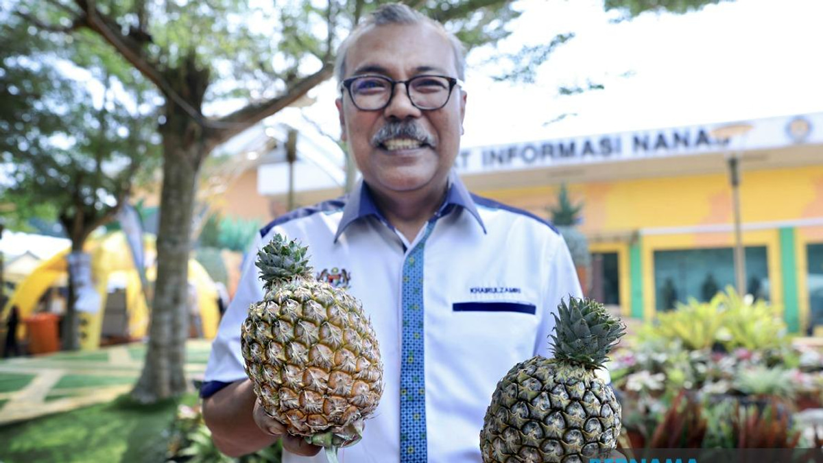 Sarawak's New Gold Pineapple Variety Shines at MAHA 2026, Promising Boost for Malaysian Agriculture