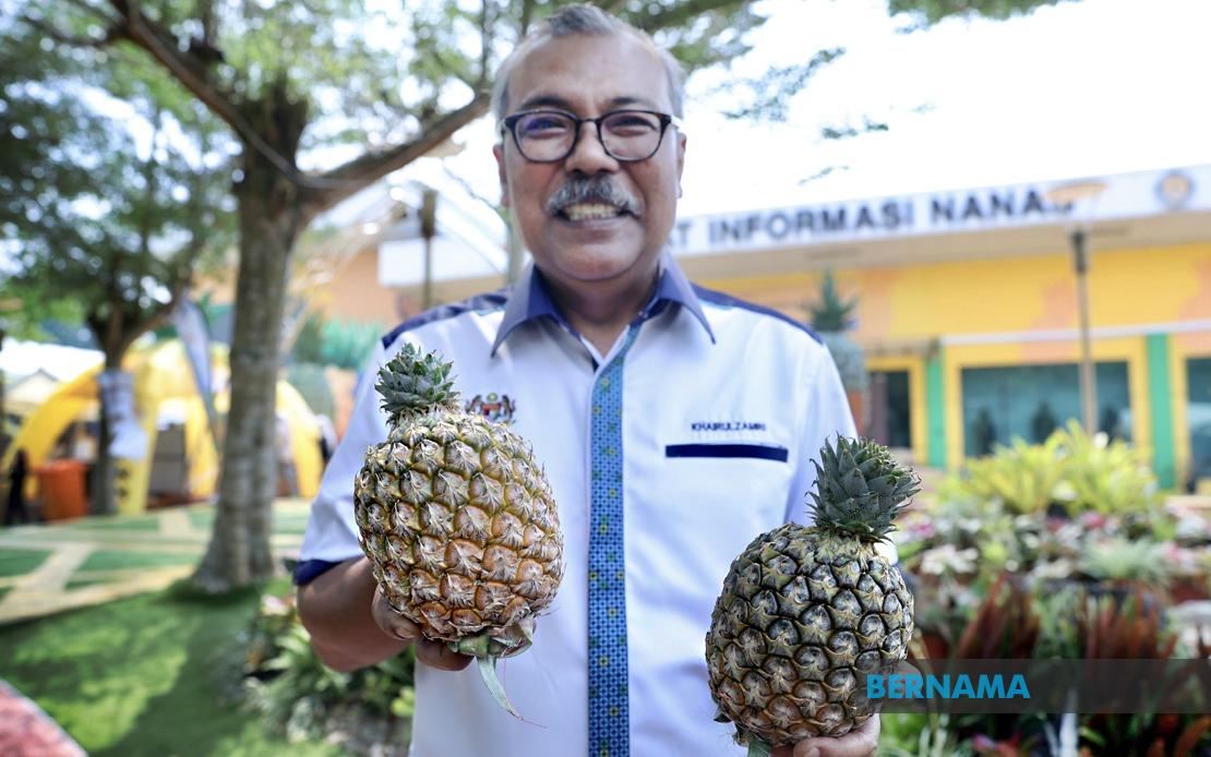 Sarawak's New Gold Pineapple Variety Shines at MAHA 2026, Promising Boost for Malaysian Agriculture