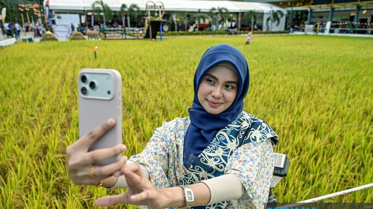 Laman Padi's Record-Breaking Paddy Art Reimagines Malaysian Rice Fields as Tourism Destinations