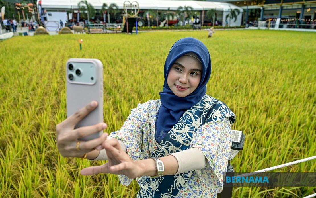 Laman Padi's Record-Breaking Paddy Art Reimagines Malaysian Rice Fields as Tourism Destinations