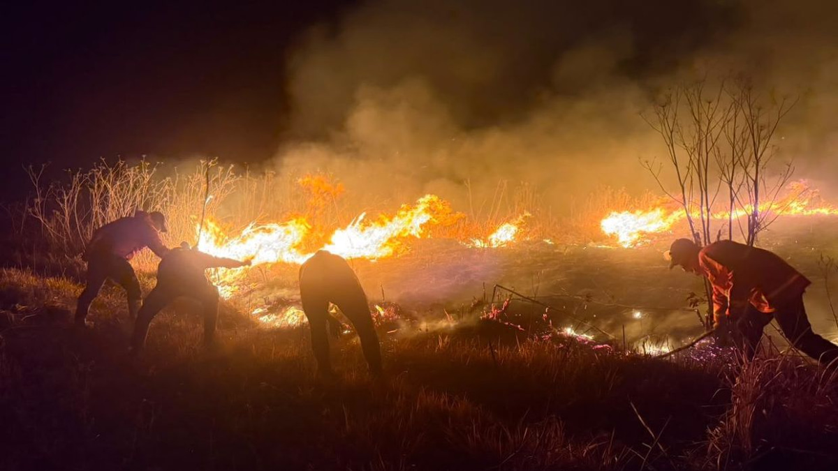 Mount Bromo wildfire expands to 520 hectares as Indonesia battles East Java emergency