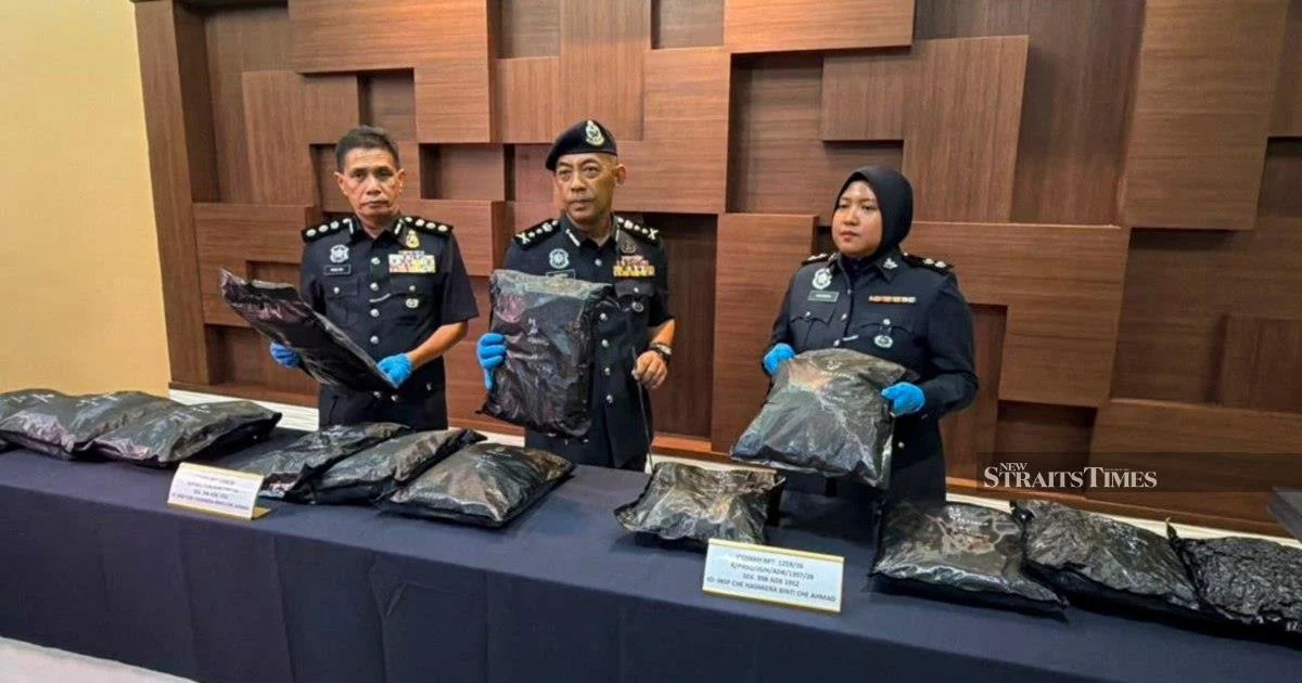 Student Arrested with Cannabis Haul Worth RM1.17 Million at Bukit Kayu Hitam
