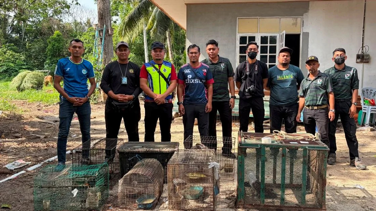Teenager Held With Nearly RM50,000 In Protected Wildlife Seized In Kelantan Raid