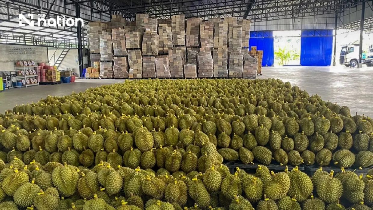 Thailand's Durian Boom: First-Half Exports to China Smash THB100 Billion Mark