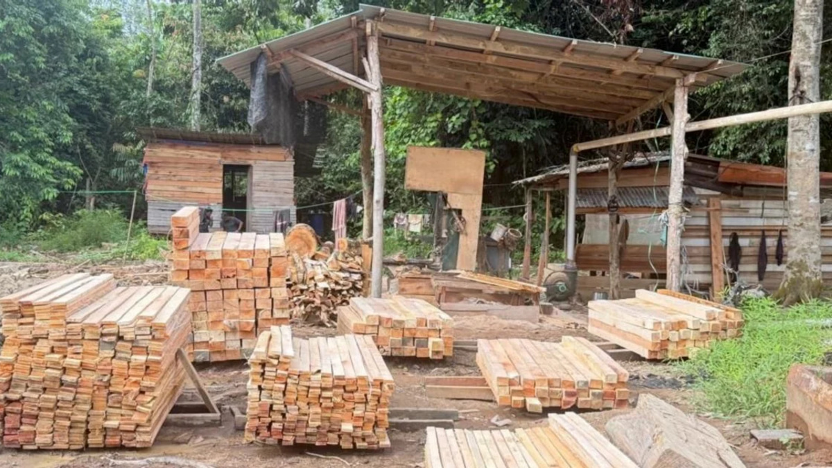 Five held as authorities seize RM1.69 million in illegal timber operation crackdown