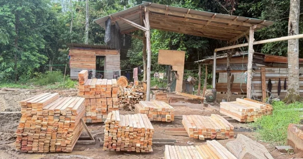 Five held as authorities seize RM1.69 million in illegal timber operation crackdown