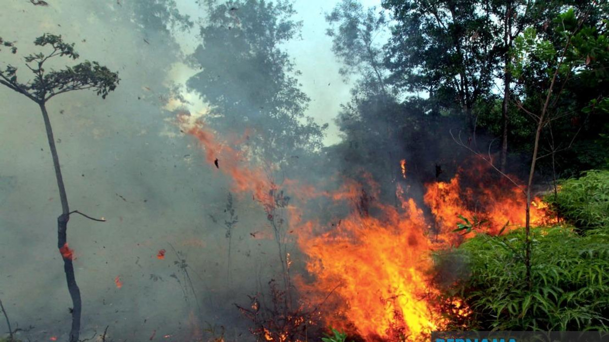 Sabah Fire Department Warns Against Open Burning as Indonesian Haze Blankets State