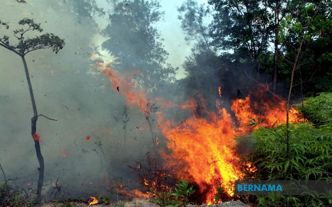 Sabah Fire Department Warns Against Open Burning as Indonesian Haze Blankets State