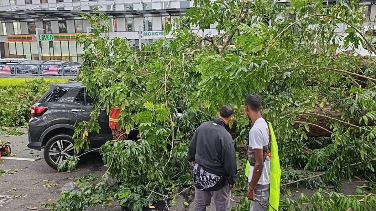 Three Family Members Escape Serious Injury After Tree Falls on Car in Penang