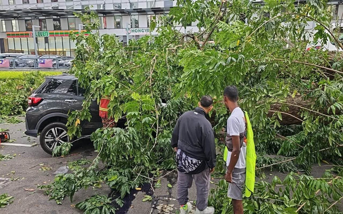 Three Family Members Escape Serious Injury After Tree Falls on Car in Penang
