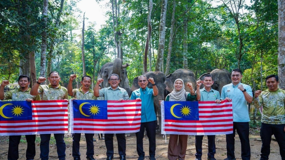 Malaysia's Wildlife Agency Charts New Course to Manage Escalating Human-Animal Clashes