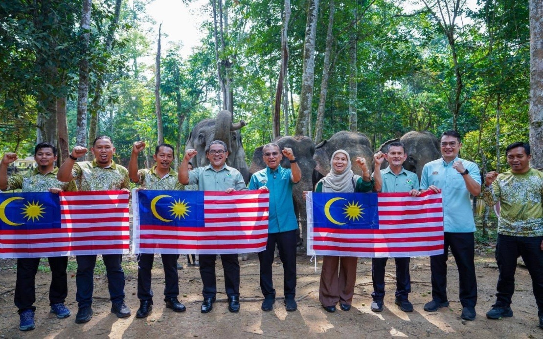 Malaysia's Wildlife Agency Charts New Course to Manage Escalating Human-Animal Clashes