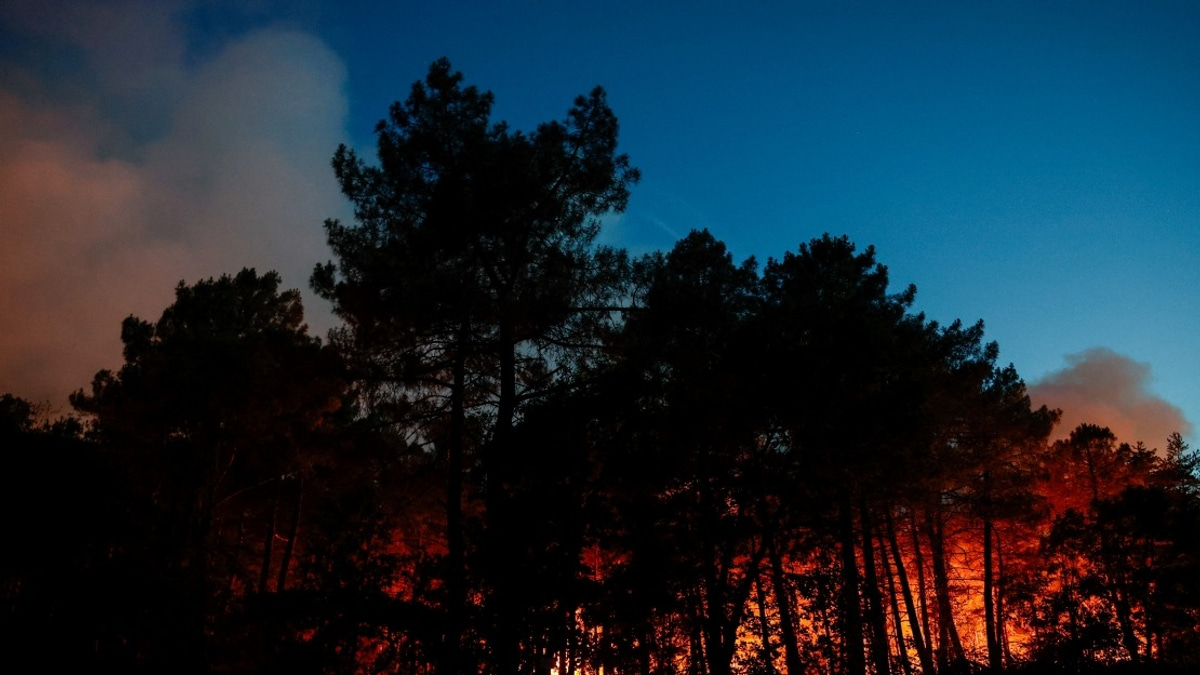 Massive Wildfire Engulfs Fontainebleau Forest as France Battles Unprecedented Heat