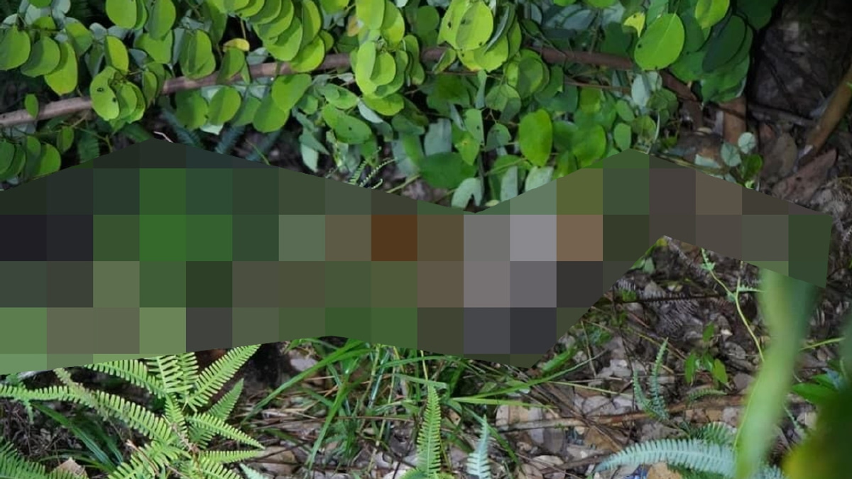 10-Year-Old Girl Found Dead in Kota Kinabalu; Two Men Arrested on Murder Charges