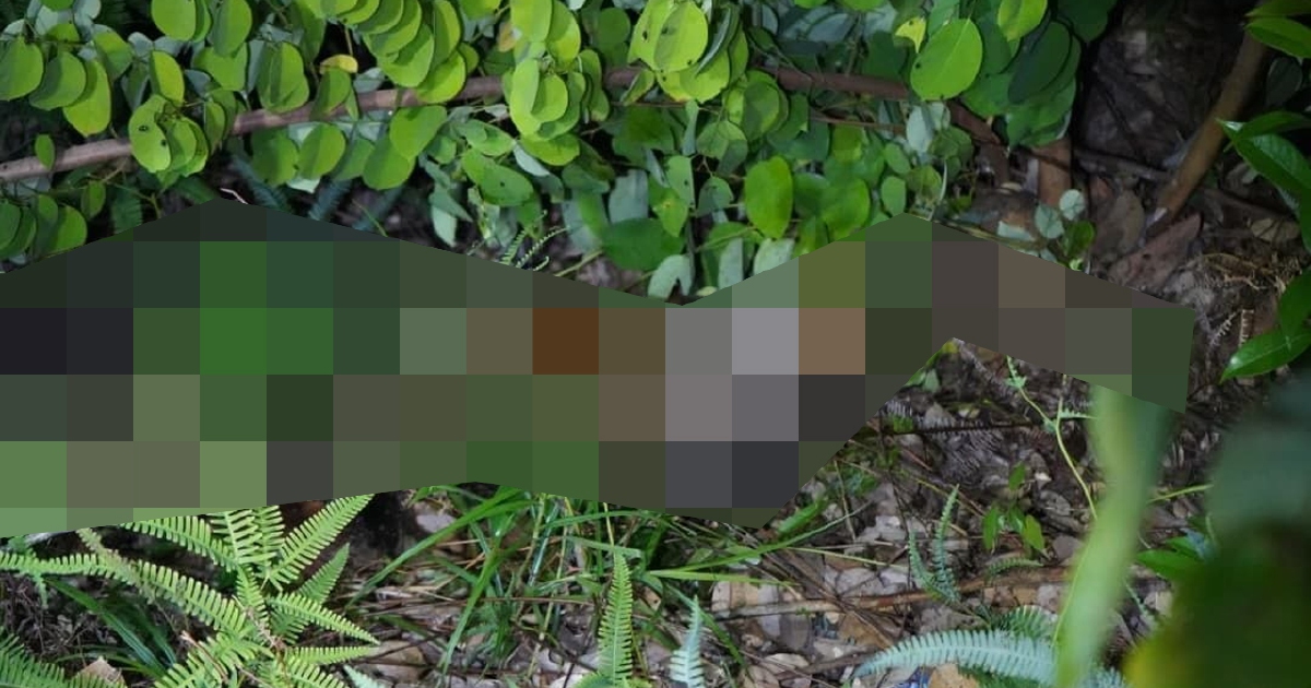 10-Year-Old Girl Found Dead in Kota Kinabalu; Two Men Arrested on Murder Charges