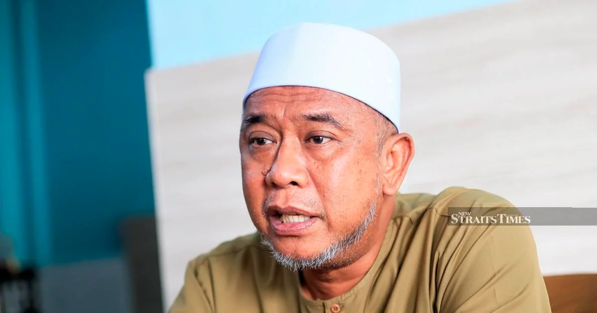 Johor Election: Bersatu Candidate Accuses Pas of Undermining Coalition Message