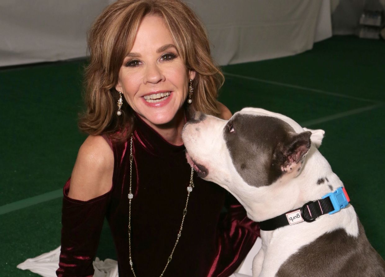 Animal welfare officials raid Linda Blair's Southern California property over undocumented rescue dog operation