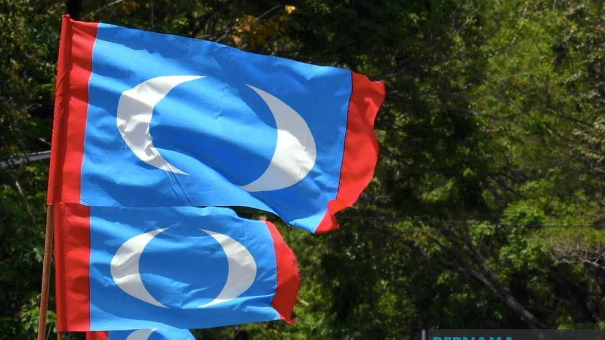 PKR Must Look Inward, Not Blame Voters for Election Setbacks, Says Youth Chief