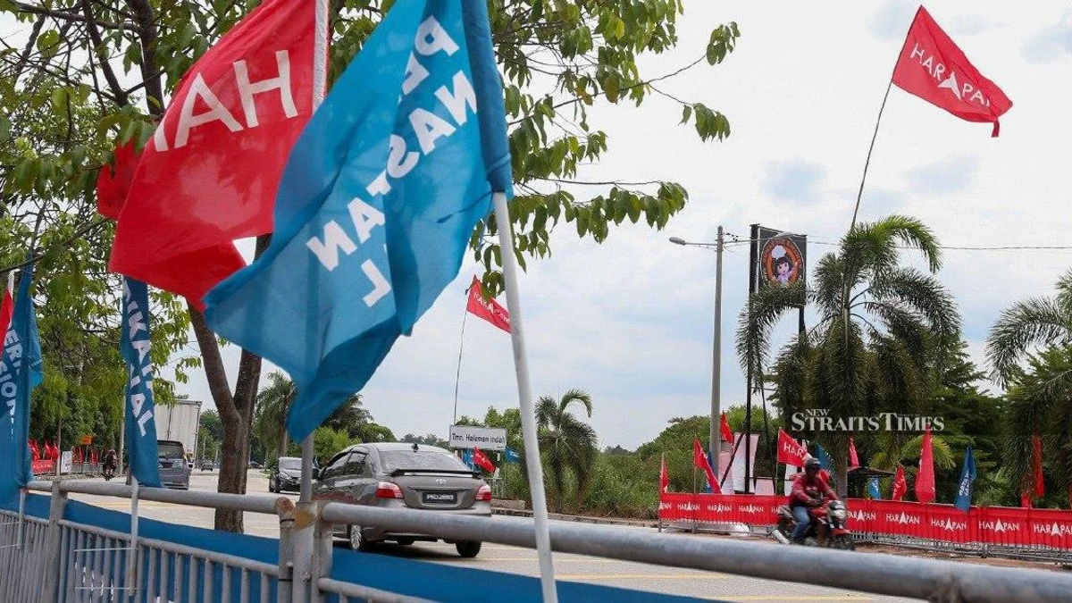 Johor's 56 constituencies go to polls as nomination day launches state election race