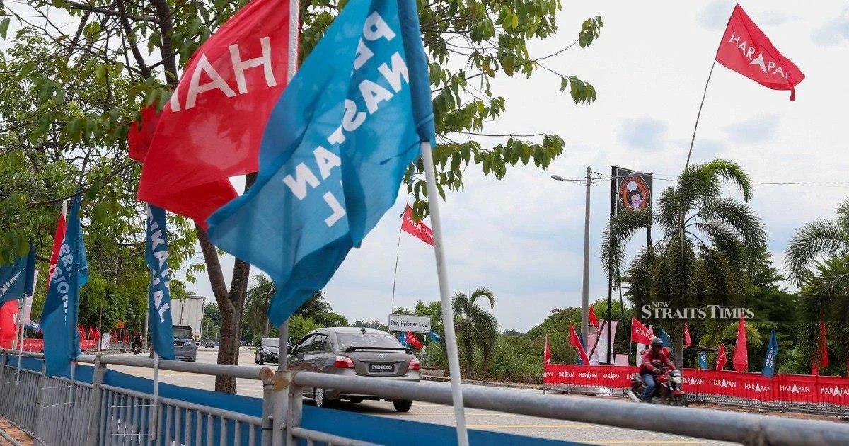 Johor's 56 constituencies go to polls as nomination day launches state election race