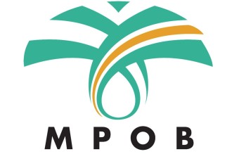 From RM15,000 Grant to RM126,000 Income: How One Johor Farmer Transformed His Oil Palm Plot