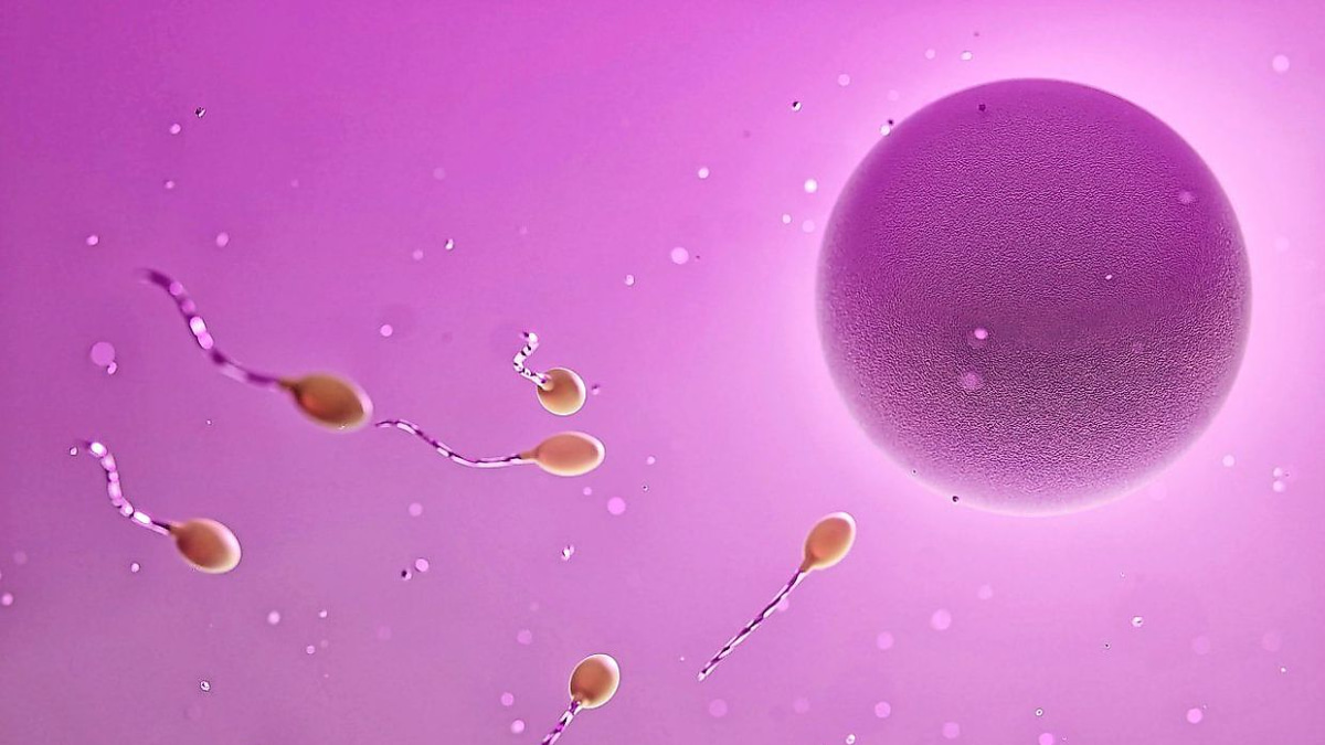 Understanding Fertility Treatments: How Ovulation-Stimulating Drugs Work for Women Facing Infertility