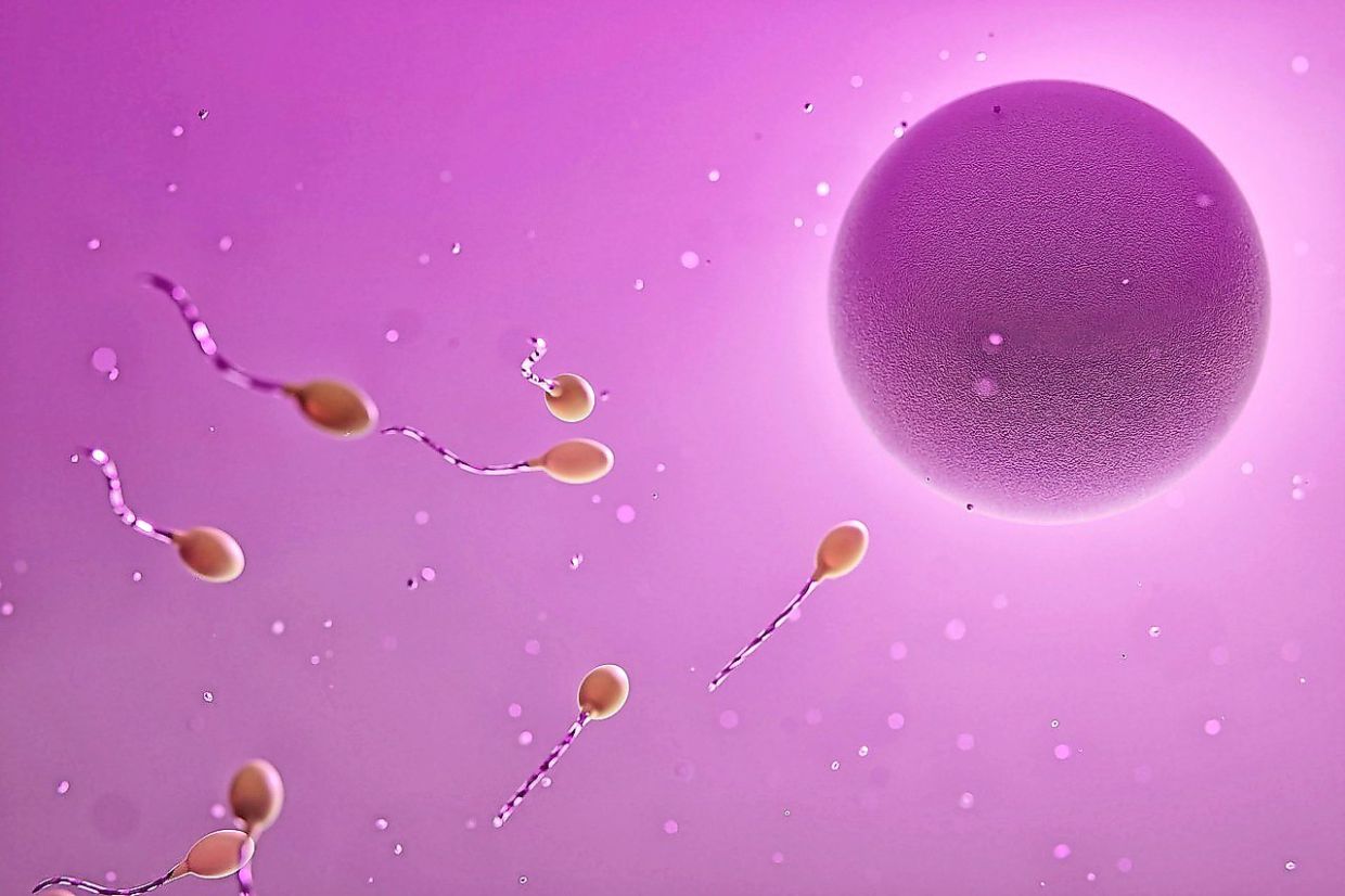 Understanding Fertility Treatments: How Ovulation-Stimulating Drugs Work for Women Facing Infertility