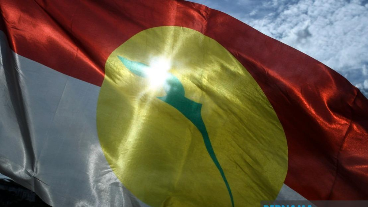 UMNO Members Must Put Party Before Personal Interest in Johor Polls, Says Azalina