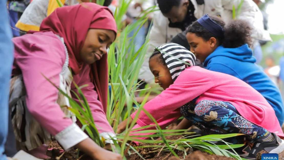 Ethiopia Plants 800 Million Trees in Single Day, Accelerating Green Legacy Initiative