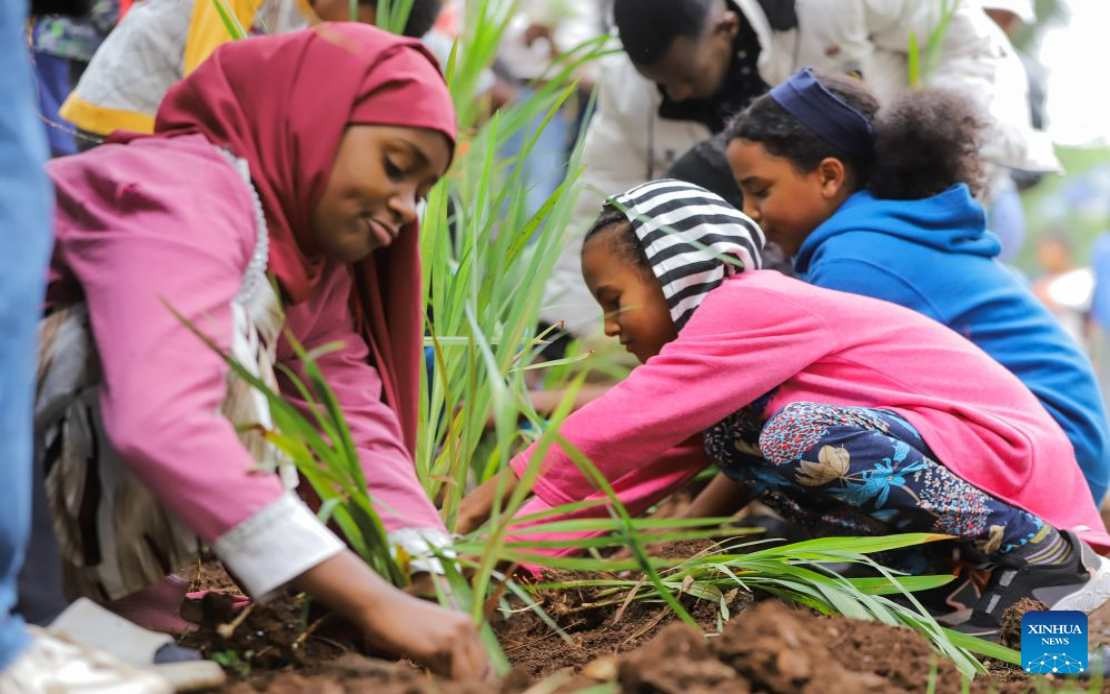 Ethiopia Plants 800 Million Trees in Single Day, Accelerating Green Legacy Initiative