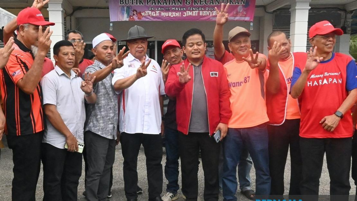 Mohamad Sabu Urges Johor Voters to Back Pakatan Harapan's Pledge of Tangible Change