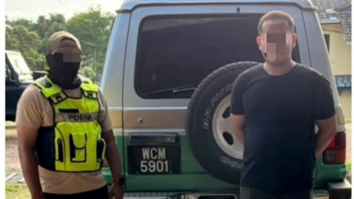 Motorist arrested with RM6,000 worth of smuggled bromeliads discovered in vehicle