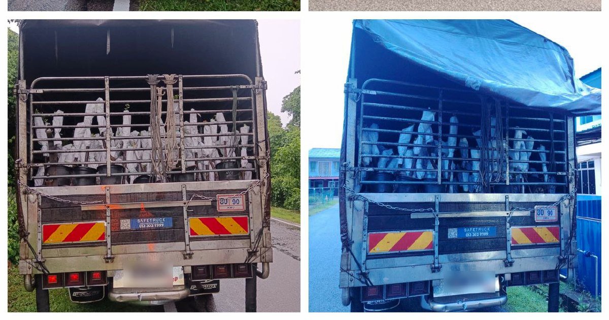 Lorry Driver and Attendant Arrested with RM85,000 Smuggled Plant Saplings from Thailand