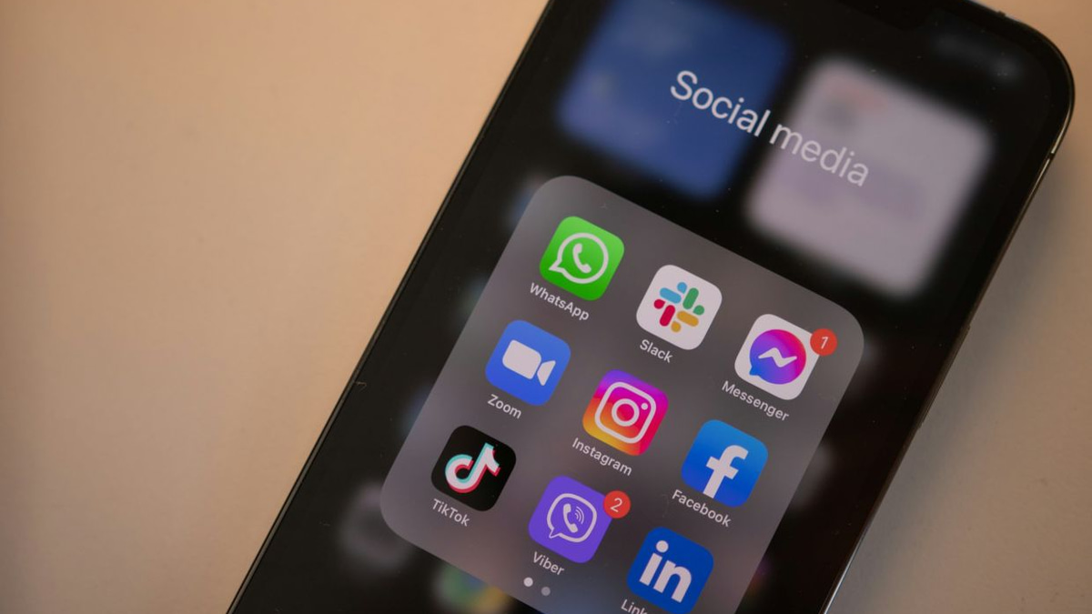 France's Constitutional Court Strikes Down Social Media Ban for Under-15s