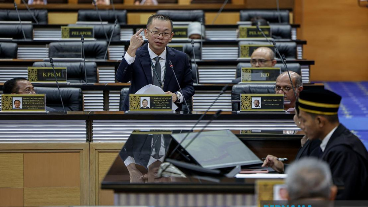 Rice Act Enforcement Will Spare Farmers, Target Supply Chain Players - Chan