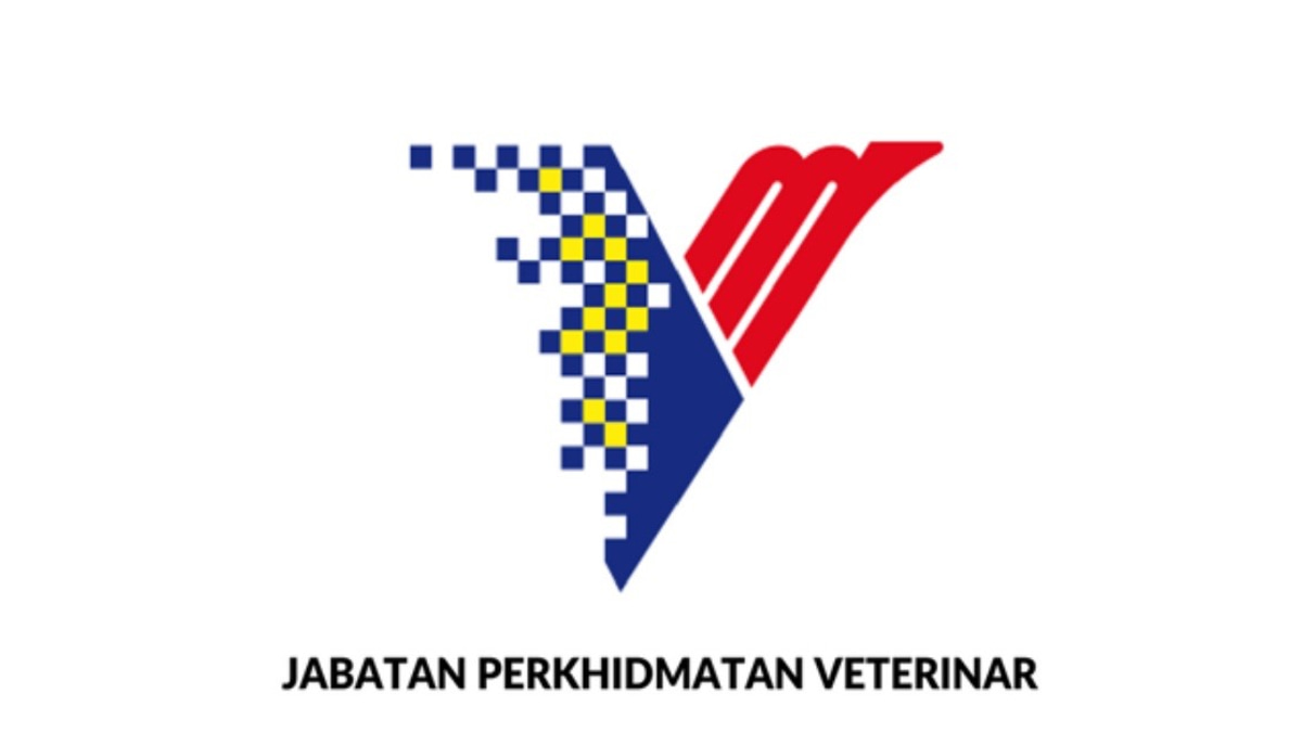 DVS Warns Against Fraudulent Government Orders and Fake Procurement Documents