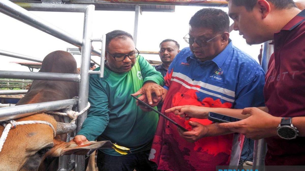 Melaka Deploys QR Tag System to Track Livestock and Reduce Road Hazards